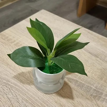 Little Sony Apartman Novi Sad