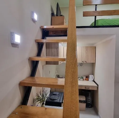 Little Sony Novi Sad