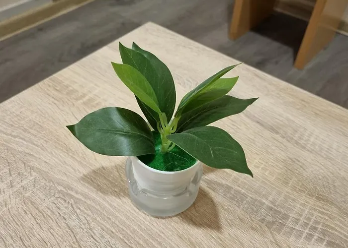 Little Sony Apartamento Novi Sad