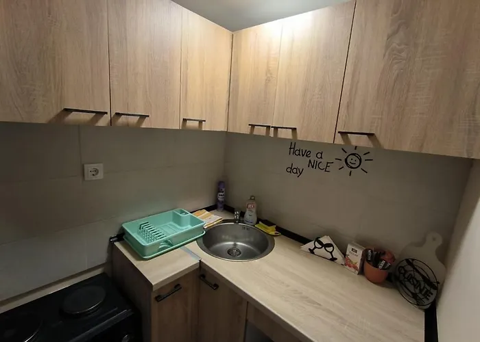 Little Sony Apartamento Novi Sad